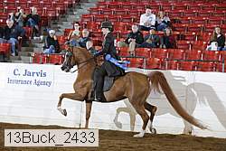 13buck_2433 proof
