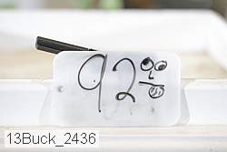 13buck_2436 proof