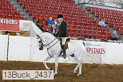 13buck_2437 proof