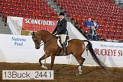 13buck_2441 proof