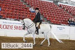 13buck_2444 proof