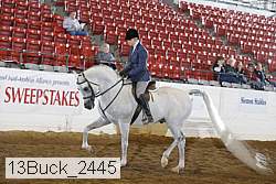 13buck_2445 proof