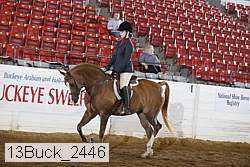 13buck_2446 proof