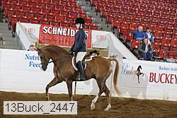 13buck_2447 proof