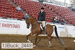 13buck_2448 proof
