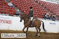 13buck_2449 proof