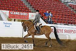 13buck_2451 proof