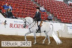 13buck_2452 proof