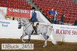 13buck_2453 proof