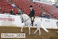 13buck_2454 proof
