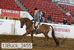 13buck_2455 proof