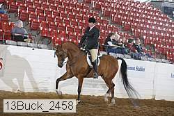 13buck_2458 proof