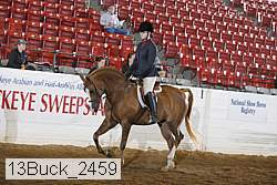13buck_2459 proof