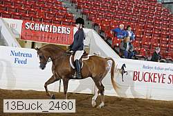 13buck_2460 proof