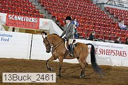 13buck_2461 proof