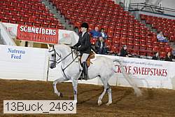13buck_2463 proof