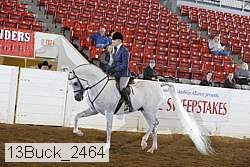 13buck_2464 proof