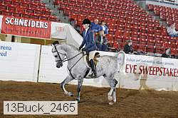 13buck_2465 proof