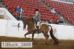 13buck_2466 proof