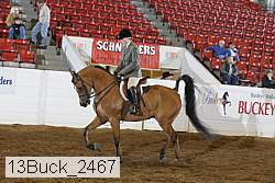 13buck_2467 proof
