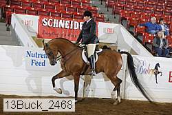 13buck_2468 proof