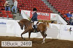 13buck_2469 proof