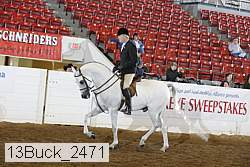 13buck_2471 proof