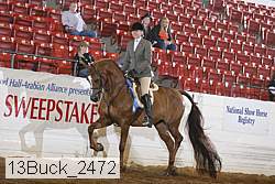 13buck_2472 proof