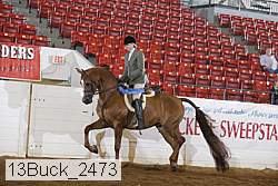 13buck_2473 proof