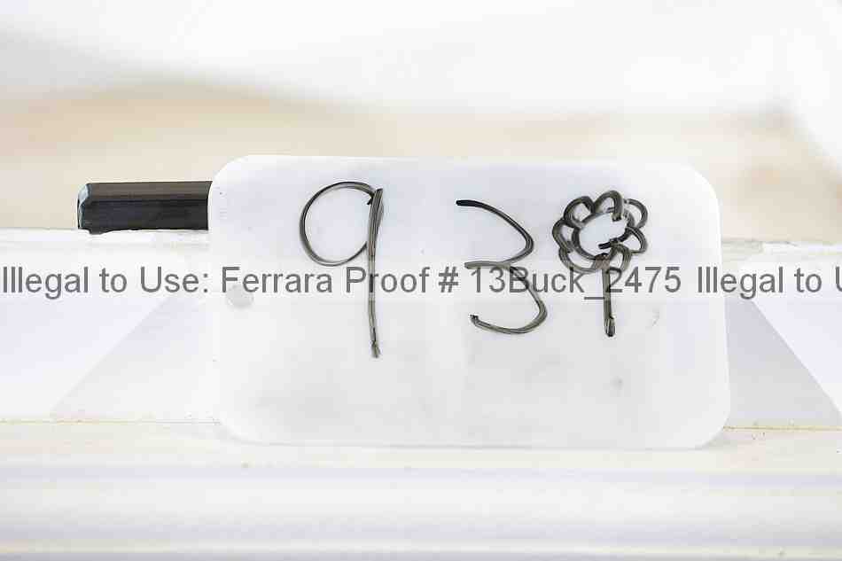 Proof 13buck_2475