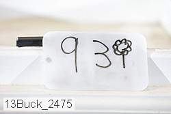 13buck_2475 proof