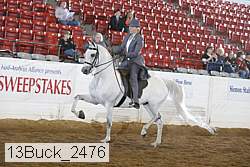 13buck_2476 proof