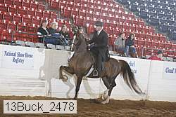 13buck_2478 proof