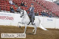 13buck_2484 proof