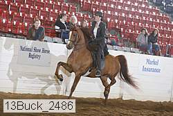 13buck_2486 proof