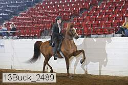 13buck_2489 proof