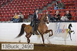 13buck_2490 proof