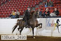 13buck_2493 proof