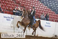 13buck_2497 proof