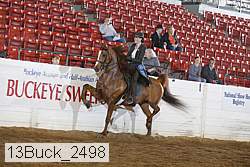 13buck_2498 proof