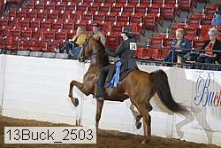 13buck_2503 proof