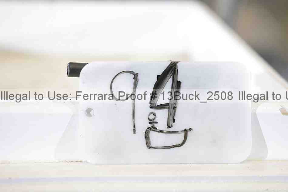 Proof 13buck_2508