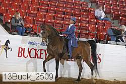 13buck_2509 proof