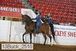 13buck_2510 proof
