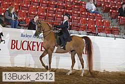 13buck_2512 proof