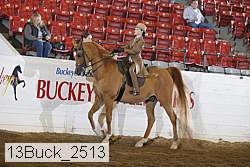 13buck_2513 proof