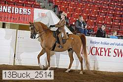 13buck_2514 proof