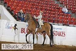 13buck_2515 proof