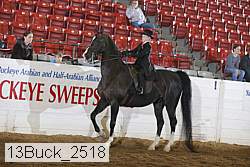 13buck_2518 proof