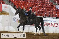 13buck_2519 proof